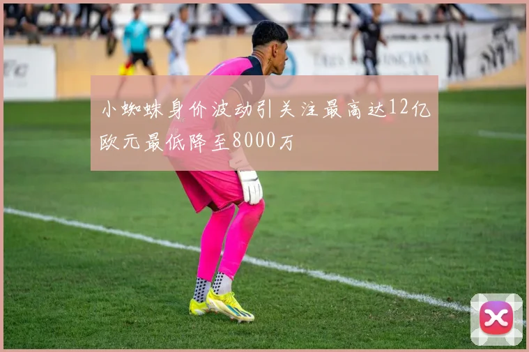 小蜘蛛身价波动引关注最高达12亿欧元最低降至8000万